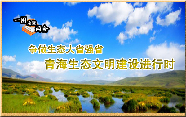 一圖看懂兩會：青海生態(tài)文明建設(shè)進(jìn)行時
