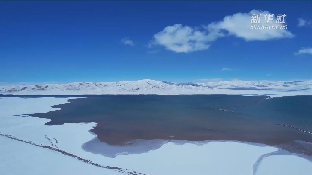 青?，敹啵憾喾N珍稀野生動(dòng)物亮相黃河源頭