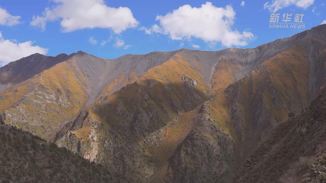 4362張照片！他們?cè)谶@里堅(jiān)持10年開展雪豹種群動(dòng)態(tài)研究